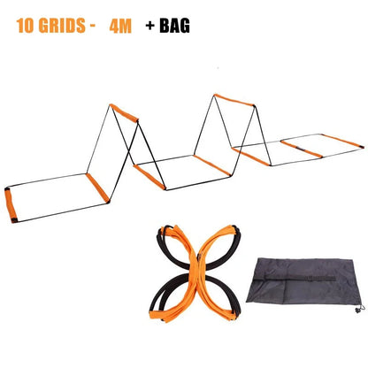 Dual-Purpose Agility Ladder