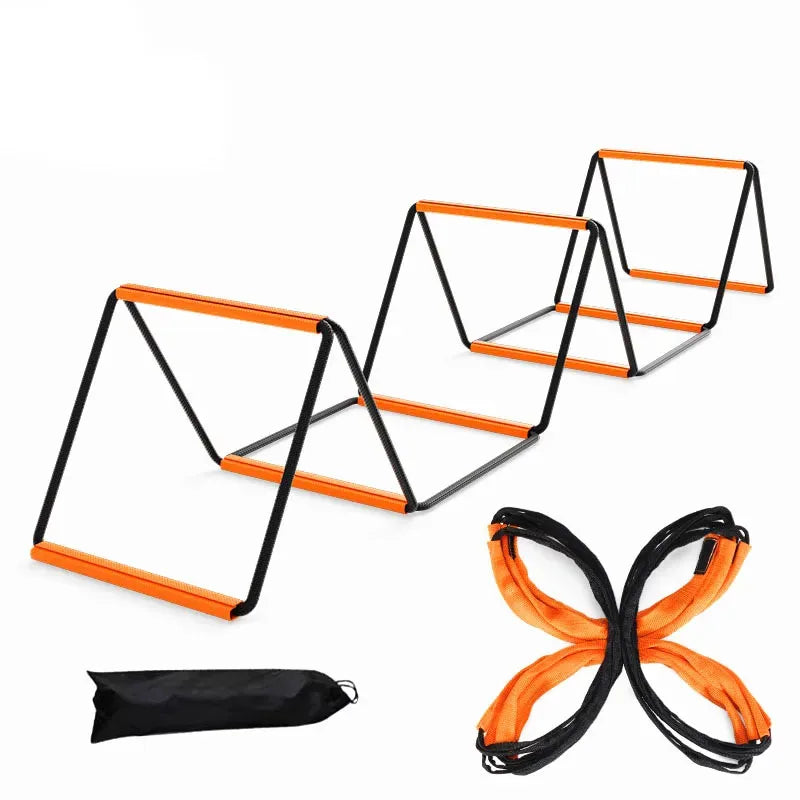 Dual-Purpose Agility Ladder