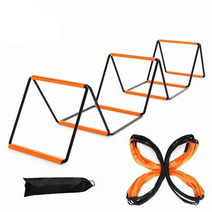 Dual-Purpose Agility Ladder