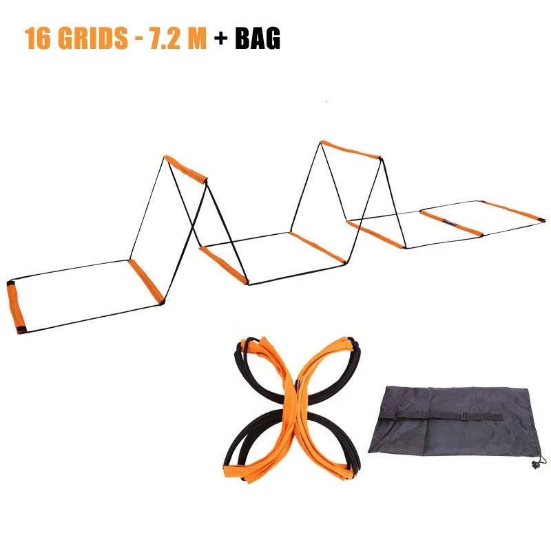 Dual-Purpose Agility Ladder