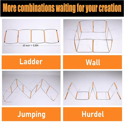 Dual-Purpose Agility Ladder